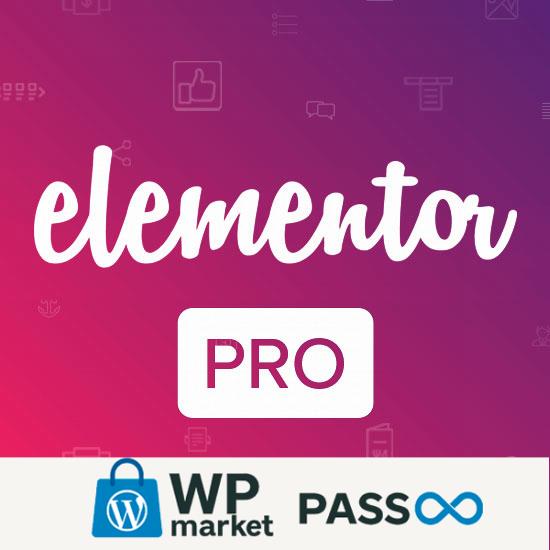Elementor Pro