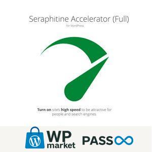Seraphinite Accelerator (Full)